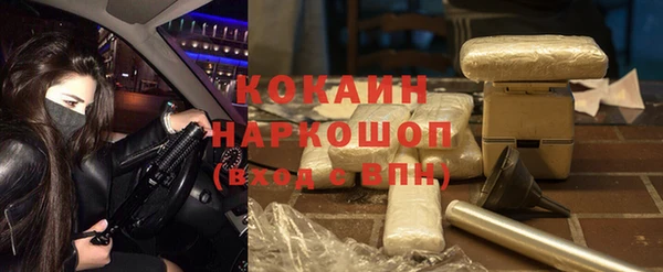 тгк Алзамай