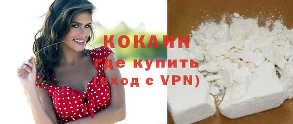 тгк Алзамай