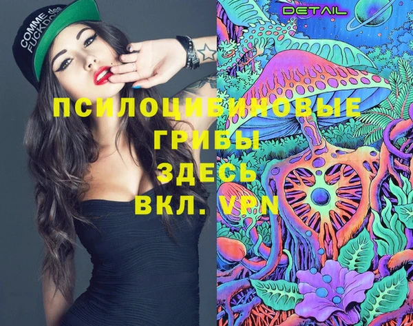 молекула духа Алексин