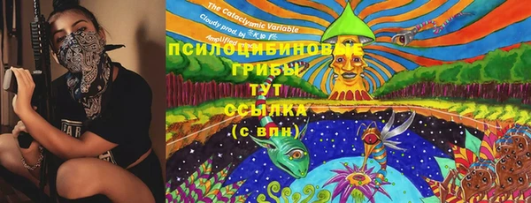 молекула духа Алексин