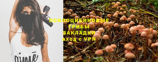 молекула духа Алексин