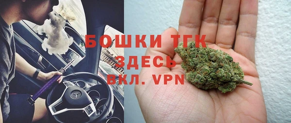 тгк Алзамай