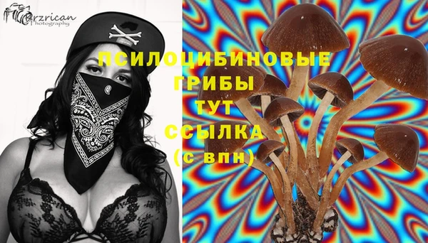 молекула духа Алексин